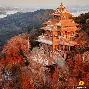 山东泰山vs武汉三镇现场直播 山东泰山vs武汉三镇现场直播